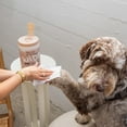 thumbnail image 6 of Dexypaws: Pet Wipes - Lavender & Vitamin E - 200ct Canister Cleansing Wet Wipes, Cats & Dogs Grooming Care, Paws-Face-Ears-Nose, Moist-Gentle-Portable, 6 of 10