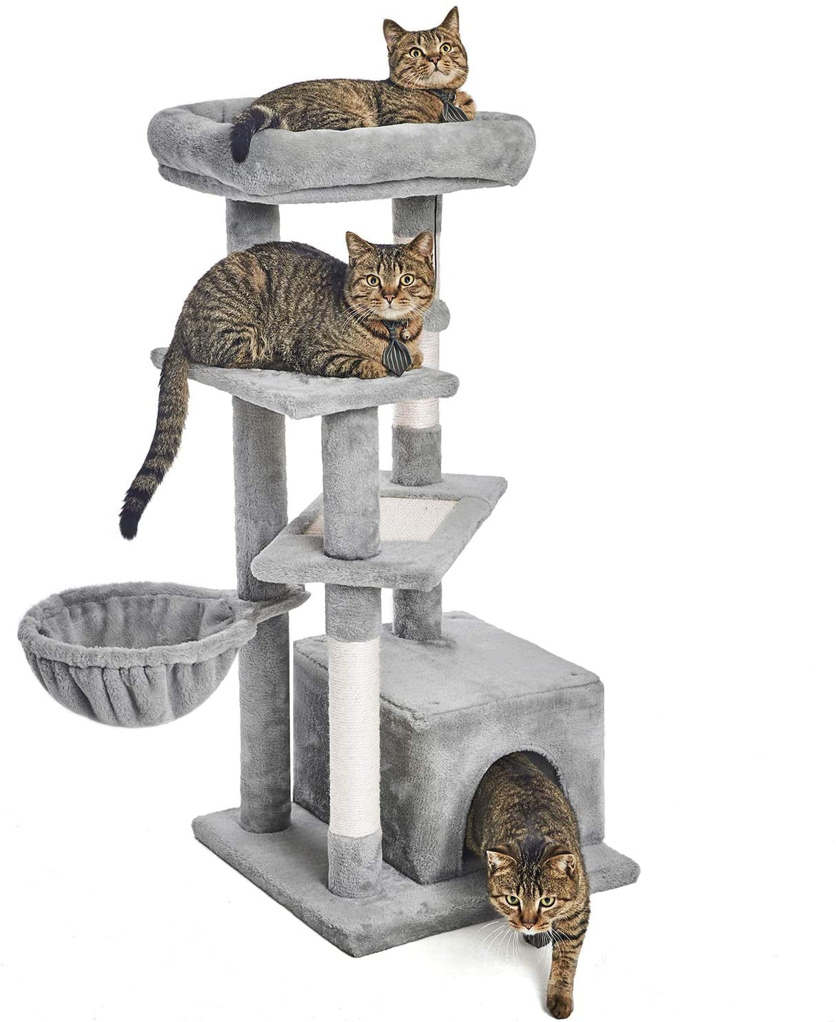 whiskers cat tree