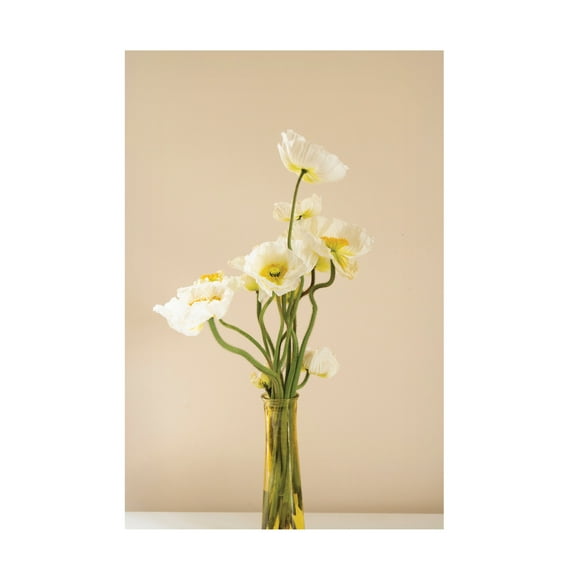 Canvas Wall Art - Incado 'Vase of Flowers' Wall Art for Living Room, Bedroom, or Office Décor by Trademark Fine Art - 16 x 24 Inches