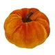 thumbnail image 1 of Txlixc Mini - calabazas de terciopelo, pequeñas calabazas artificiales para decoraciones de Acción de gracias Txlixc  moda, 1 of 9