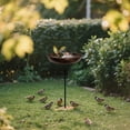 thumbnail image 4 of WKSCLPAI Outdoor Bird Feeder with Pole,Retro Wrought Iron Bird Feeder,Adjustable height Wild Bird Feeders,Sturdy and Withstands,Weather and Water Resistant, 4 of 7