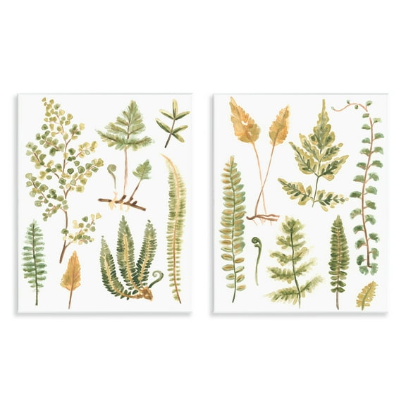 Stupell Industries Watercolor Fern Leaves Plants & Flowers Painting Unframed Art Print Wall Art, 11 x 14, Set of 2