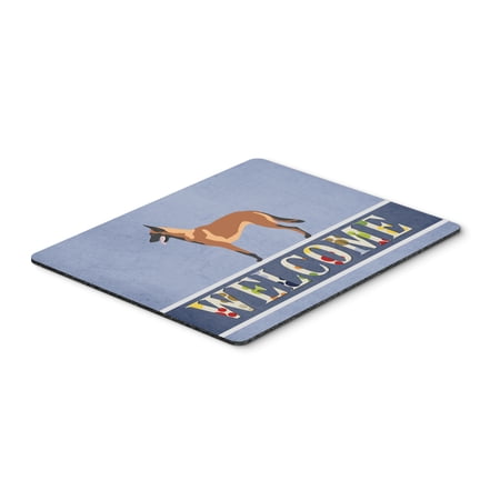 Malinois Belgian Shepherd Mouse Pad Hot Pad or Trivet Blue price history on PriceWatchPro