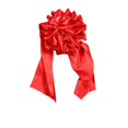 thumbnail image 1 of La gran bola de flores rojas anuncia la apertura del coche nupcial y la ceremonia de corte de cinta anuncia la entrega de la gran flor roja a la puerta de la casa y el traslado de las flores de seda, 1 of 1