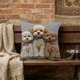 thumbnail image 1 of Funda de almohada aterciopelada, bonita y adorable funda de almohada con animales, para dormitorio, hogar, sofá, decoración, funda de cojín, juegos de colcha y cubrecama, ropa de cama, edredones, jueg, 1 of 6