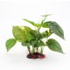 thumbnail image 1 of Peces de plástico verde artificial Tanque de peces de plástico Planta de loto, Tama?o mediano 21.5cm XianweiShao 1327534412024, 1 of 1