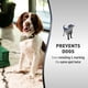 thumbnail image 2 of Repelente para mascotas Nature's Miracle Advanced Platinum 700 ml, 2 of 9
