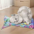 thumbnail image 3 of Thickened Pet Water Bed Play Mat 2025 Interactive Floating Fish Sensory Pad For Indoor Dogs Cats Summer Comfort With Inflating Tools, 3 of 5