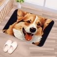 thumbnail image 5 of Corgi Dog Kitchen Rug Outdoor Carpet Door Mat Polyester Non-Slip Machine Washable, 5 of 6