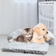 thumbnail image 3 of Wdftyju Cama para perros grandes y pequeños, cojín suave para dormir para perros y gatos, sofá Wdftyju 6pf1zj7py8pl9ns0D05, 3 of 7