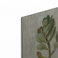 thumbnail image 2 of Luxe Metal Art 'Front Yard Succulent II' by Silvia Vassileva, Metal Wall Art, 12" x 12", 2 of 9
