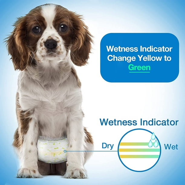 Disposable Male Doggie Diapers Disposable Male Dog Diapers Wraps