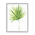 thumbnail image 4 of Stupell Industries Tropical Green Palm Fan Minimal on White Black Framed, 24 x 30, Design by Melissa Hyatt LLC, 4 of 5