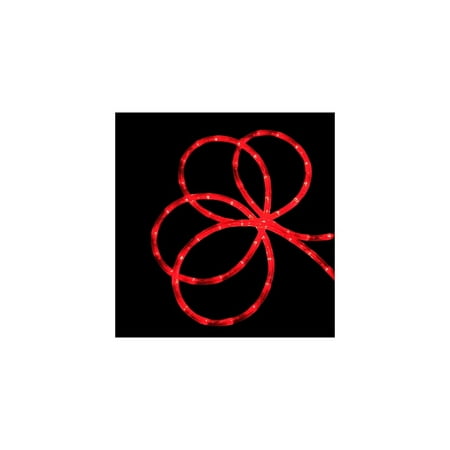 5' Red LED Indoor/Outdoor Christmas Rope Lights - 1" Bulb Spacing