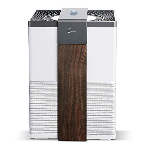 Jese air purifier Clearance