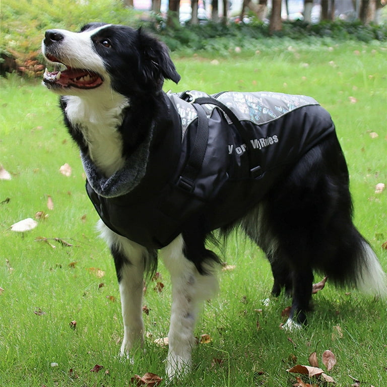 Walmart dog clothes discount