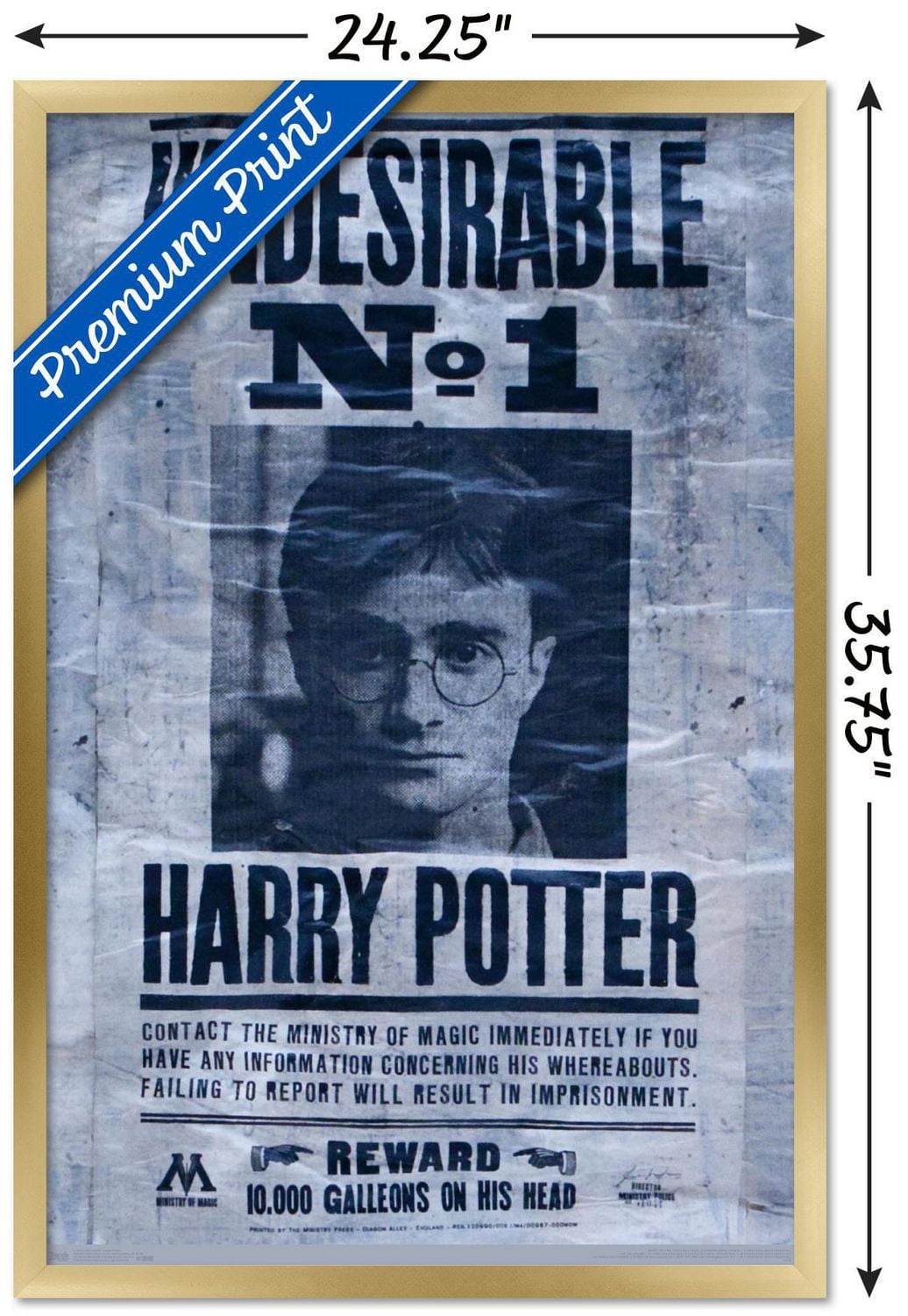 The Wizarding World: Harry Potter - Undesirable Wall Poster