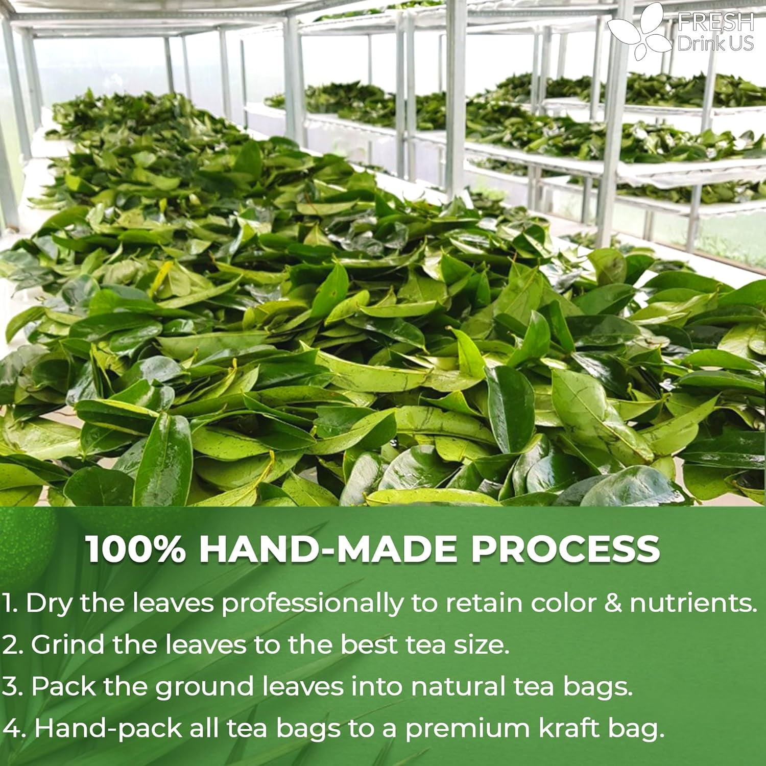 Premium 90 Soursop Graviola Leaf Tea Bags, 100% Natural and Pure from Soursop Leaves, Handmade, Made With Natural Materials-Corn Fiber Tea Bag, Sugar/ Caffeine/ Gluten Free, Hoja Guanabana Tea