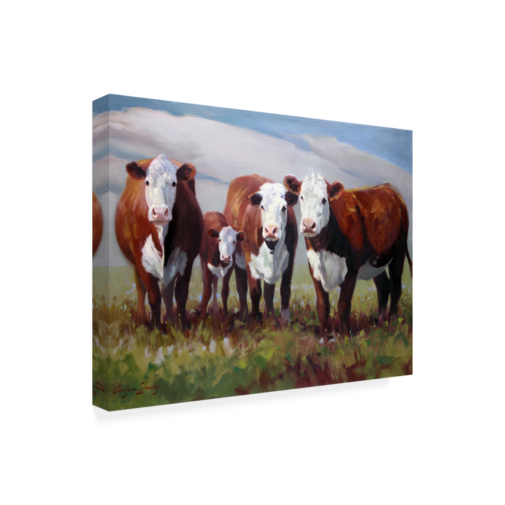 Trademark Fine Art 'Home on the Range' Canvas Art by Carolyne Hawley