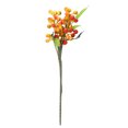 thumbnail image 4 of Christmas Ornament Imitation Red Berry Branch Bean Single Foam-Orange, 4 of 14