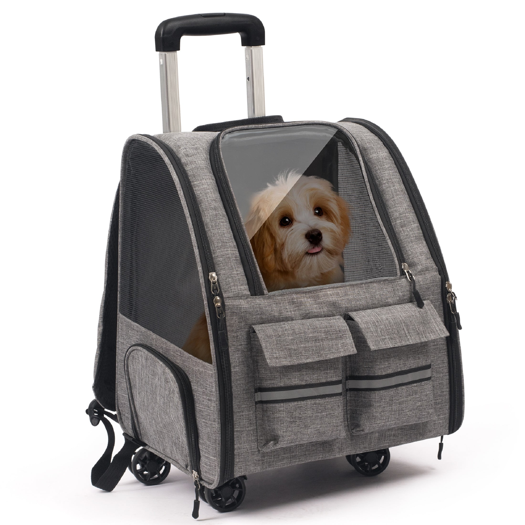 Ollie & Hutch Kaya Pet Travel Carrier, Trolley with Shock