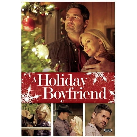 Holiday Boyfriend (DVD), Freestyle Digital, Drama