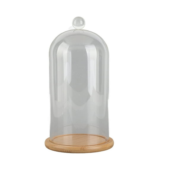 Clear Glass Jar Dome Cover, Glass Bell Cover Bamboo Wood Flat Bottom Lightweight Transparent for Wedding