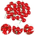 thumbnail image 3 of Shisuyan Fakecherries Mousse Rouge 25Ensemble 2.2X1In, 3 of 9