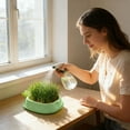 thumbnail image 2 of Tauxra Pineapple Shaped Hydroponic Nursery Tray Soils Free Countertop Decoration For Easy Sprouting, 2 of 6
