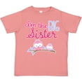 thumbnail image 3 of Inktastic Big Sister Owls Girls Toddler T-Shirt, 3 of 5