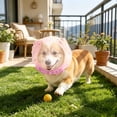 thumbnail image 5 of 4PCS Pet Anti-Scavenging Muzzle - Breathable Mesh Safety Mask for Dogs and Cats, Lightweight Training Tool to Prevent Eating Foreign Objects Outdoors, 5 of 6
