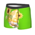 thumbnail image 2 of Fotbe Sunflower Gnomes 3 Men’s Total Support Pouch Boxer Briefs, X-Temp Cooling, Moisture-Wicking Underwear, Regular, Long-leg and Trunk-Medium, 2 of 9