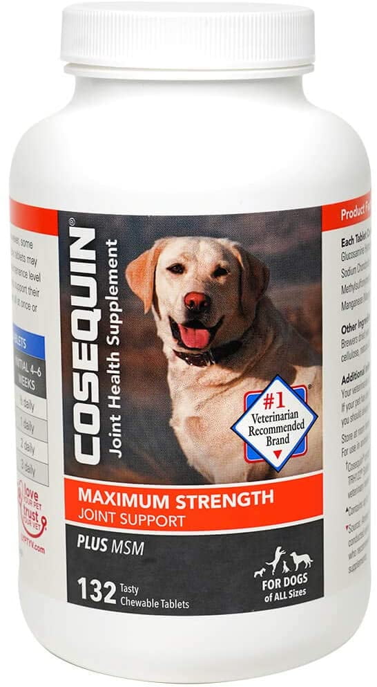 dog joint supplements walmart