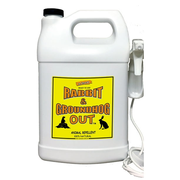 Rabbit & Groundhog Repellent: Rabbit Out 1 Gallon Ready-To-Use