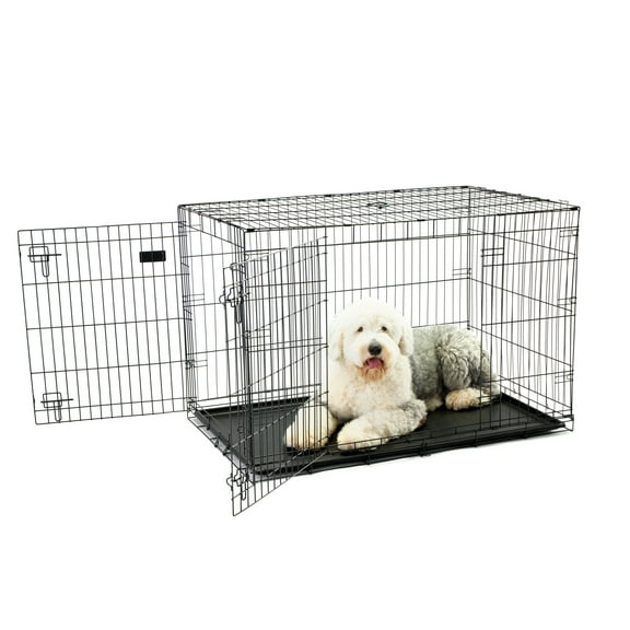 Carlson Secure and Compact Double Door Metal Dog Crate, For Extra Large Breeds Up To 120 Pounds, Includes Divider Panel and Removable Pan, Black