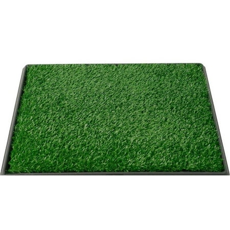 Indoor Potty Mat For Dogs Review Indoor Potty Mat For Dogs Review