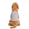 thumbnail image 6 of Oodles Multi-Colored Cherries Striped Knit Polo Spring Dog T-Shirt, Large, 6 of 10