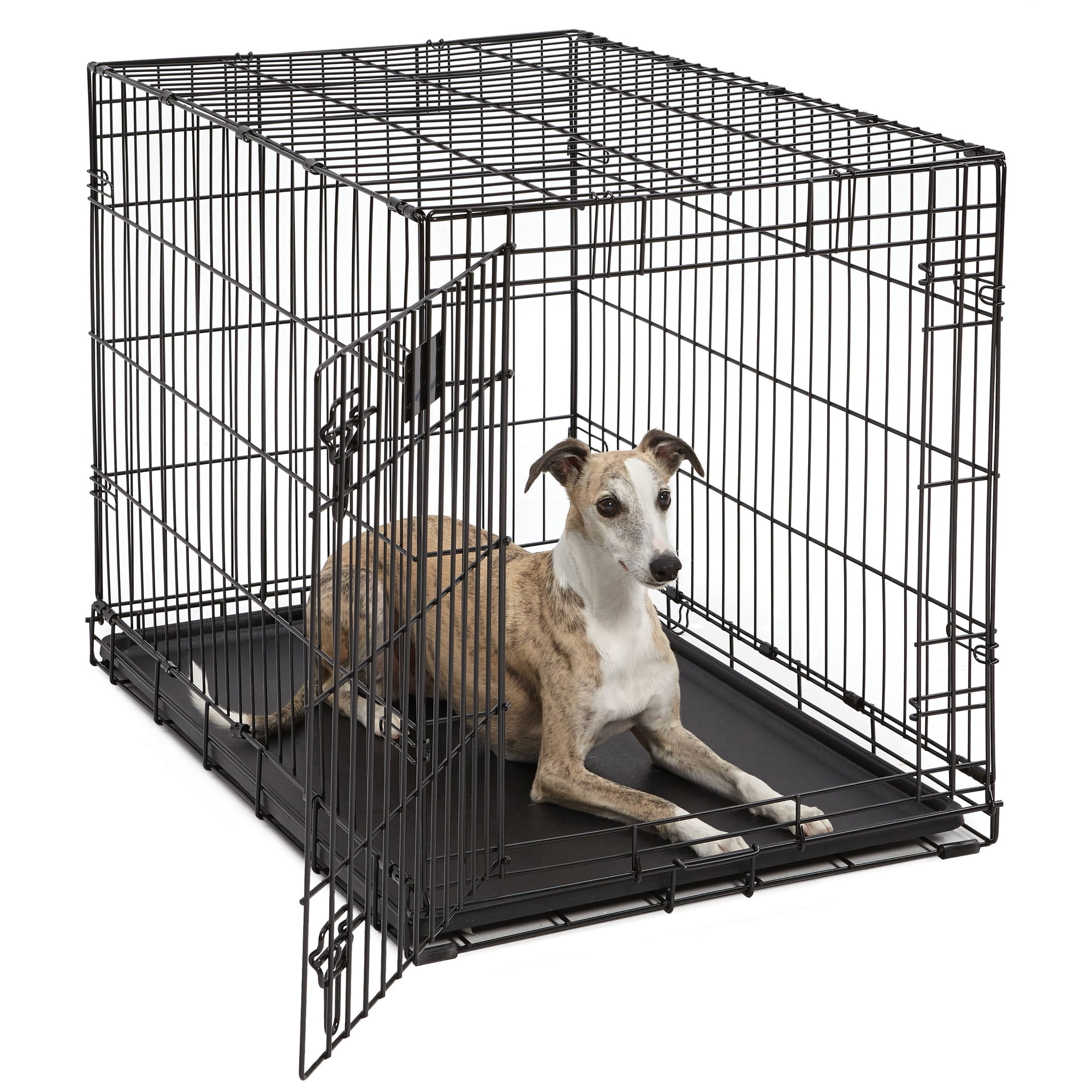 Midwest 36" Lifestages Single Door Metal Dog Crate