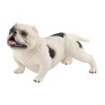 thumbnail image 1 of Worallymy mascota realista figuras simuladas de plástico sólido modelo para niños juguete para regalo coleccionable biológico Worallymy JD735809631, 1 of 7