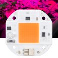 thumbnail image 4 of COB Lamp Beads, Full Spectrum Grow Light LED Chip Drive Free  For DIY Flower Plant Light 50W,70W,100W, 4 of 8