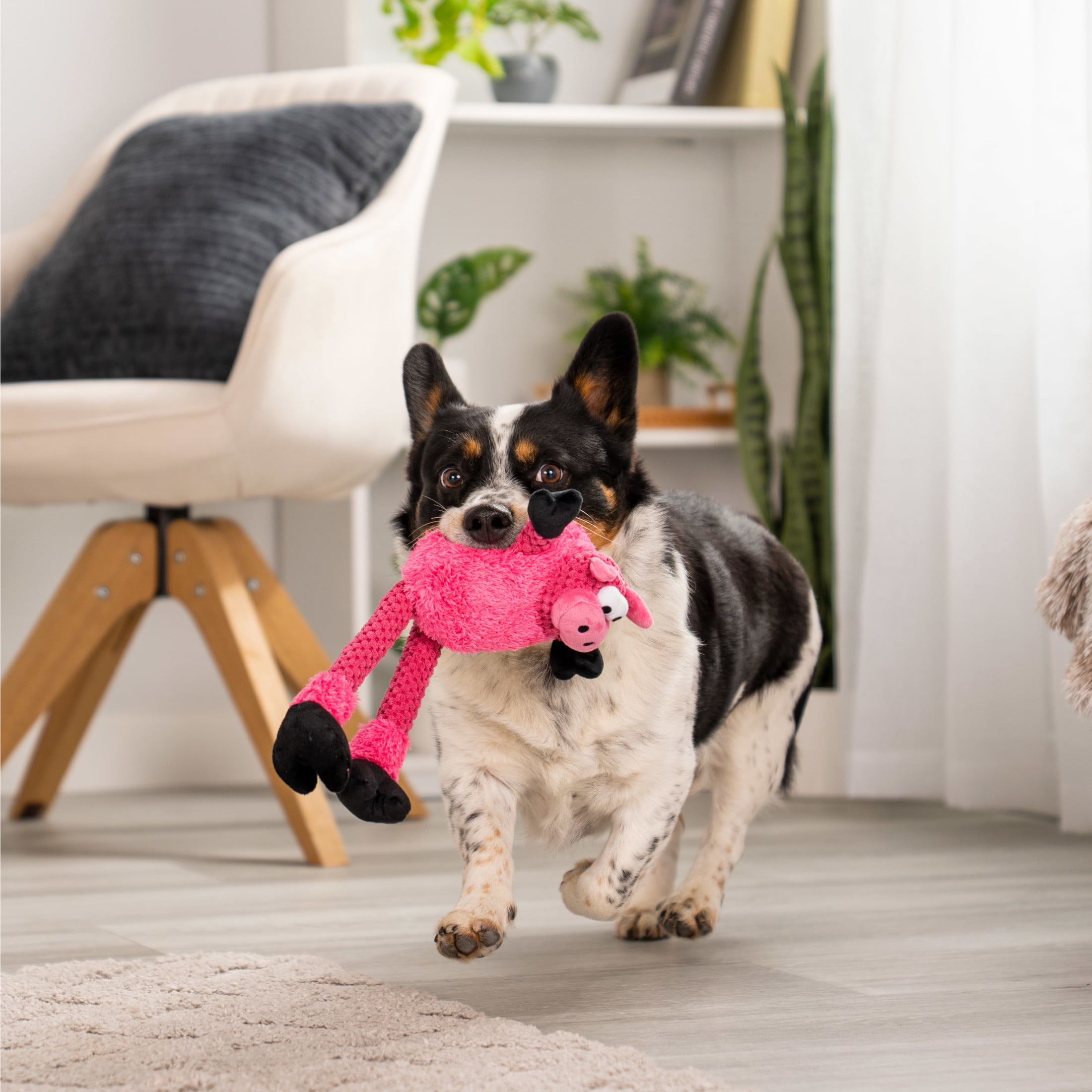 goDog Checkers Skinny Pig Tough Plush Toy with Chew Guard Technology, Durable Checkered Fabric & Squeaker for Active Play, Small