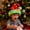Multicolor a17222 christmas decorations under 5$, variant on Cagogo under $5 Light Up Santa Hat, Christmas Hat with Colorful Lights,Double Layer Flock Fabric Santa Hat,Battery Operated Light Up Hat,Festive Christmas Party Headwear