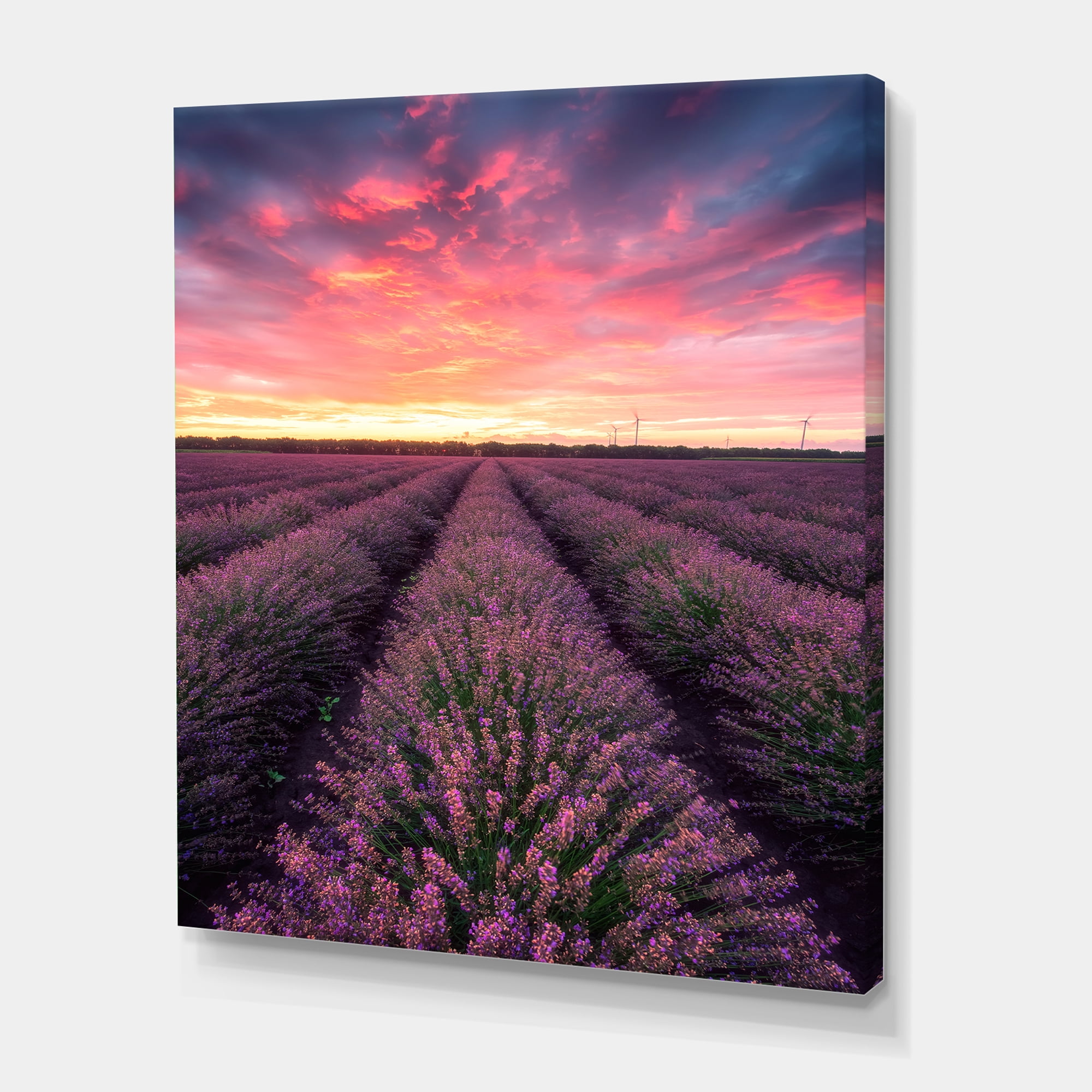 Dramatic Clouds and Sunrise Over Lavender Field XIV 8 in x 12 in Photography Canvas Art Print, by Designart
