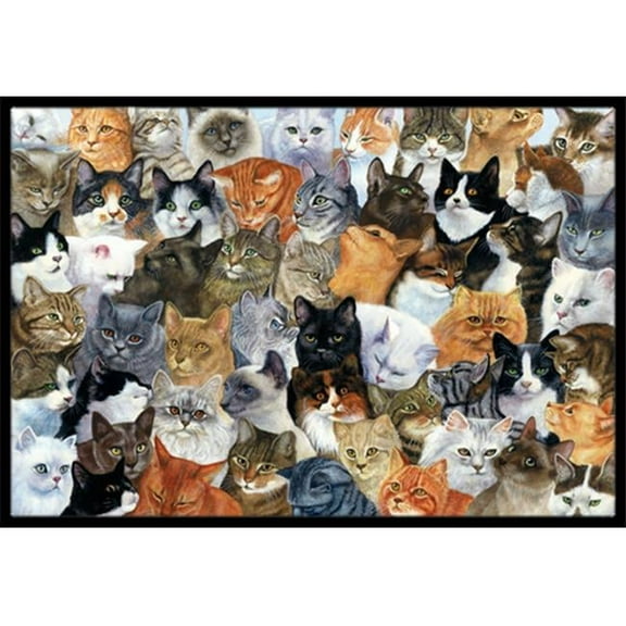 Cats Galore Indoor or Outdoor Mat, 18 x 27