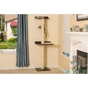 The Ultimate Cat Climber