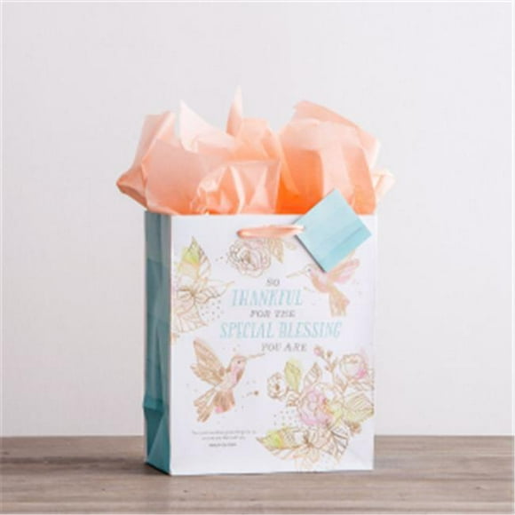 Gift Bag-Specialty-Special Blessing-Psalm 126-3 NIV&#44; Medium