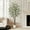 5FT, variant on Ataucjin Ataucjin Artificial Eucalyptus Tree,5ft Realistic Artificial Eucalyptus Tree with White Planter, Large Faux Floor Plant with Lights, Ideal for Home Office & Living Room Decor