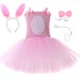 thumbnail image 2 of Vestido de tutú de conejo de Pascua rosa, disfraz para niñas pequeñas, ropa de fiesta de cumpleaños, bonito vestido de princesa de tul con conejo, 2 of 5