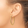 thumbnail image 3 of Primal Gold 14 Karat Yellow Gold Diamond-cut Hoop Earrings, 3 of 4
