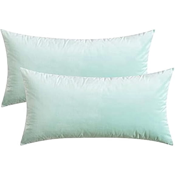 Eryueer Velvet Cushion Covers Throw Pillow Case Soft Modern Decorative Square Pillow Covers for Livingroom Sofa Chair Bedroom with Invisible Zipper 12"x 20" 2 Pieces Light Green